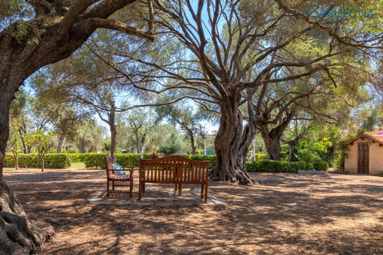 Villa Christiana Villa Del XV Secolo Con Piscina Ad Uso Esclusivo Alghero Luaran gambar